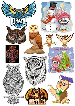 Baykuş Owl Sticker Set 11 Parça Telefon, Tablet, Defter, Laptop Sticker