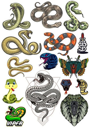 Yılan Sticker Set-3 13 Parça Telefon, Tablet, Defter, Laptop Sticker