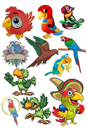Papağan Sticker Set-1 12 Parça Telefon, Tablet, Defter, Laptop Sticker