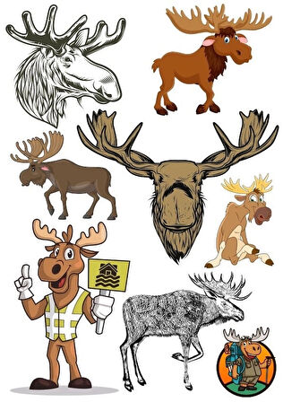 Geyik Sticker Set-1 8 Parça Telefon, Tablet, Defter, Laptop Sticker