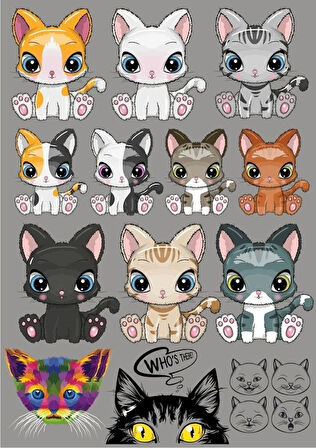 Kedi Sticker Set-3 15 Parça Telefon, Tablet, Defter, Laptop Sticker