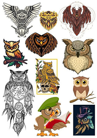 Baykuş Sticker Set-3 11 Parça Telefon, Tablet, Defter, Laptop Sticker