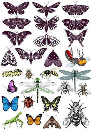 Kelebek Sticker Set-1 18 Parça Telefon, Tablet, Defter, Laptop Sticker