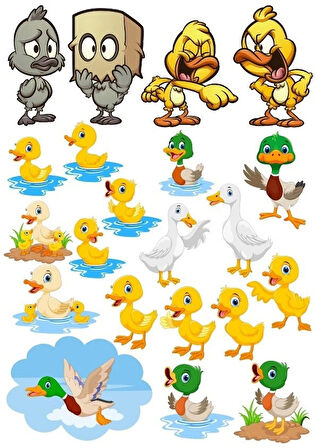Ördek Temalı Sticker Set-2 18 Parça Telefon, Tablet, Defter, Laptop Sticker