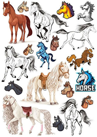 At Sticker Set-3 15 Parça Telefon, Tablet, Defter, Laptop Sticker