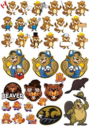 Kunduz Sticker Set-1 32 Parça Telefon, Tablet, Defter, Laptop Sticker