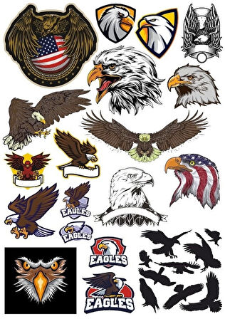Kartal Eagle Sticker Set-17 17 Parça Telefon, Tablet, Defter, Laptop Sticker