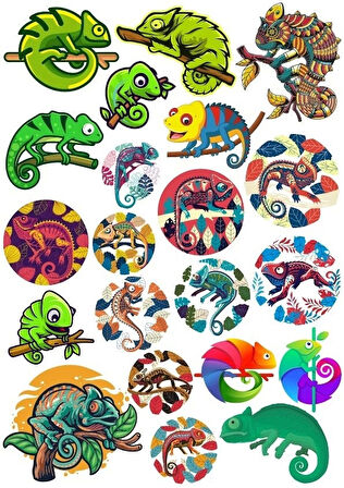 Bukalemun Sticker Set 20 Parça Telefon, Tablet, Defter, Laptop Sticker