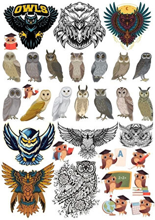Baykuş Sticker Set 20 Parça Telefon, Tablet, Defter, Laptop Sticker