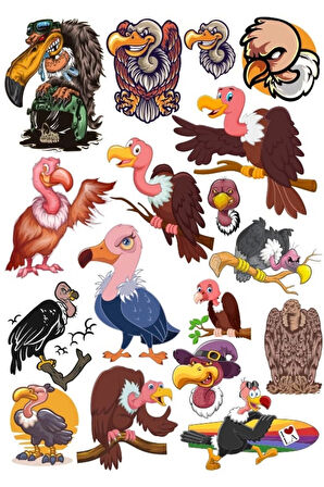 Akbaba Sticker Set 4 15 Parça Telefon, Tablet, Defter, Laptop Sticker
