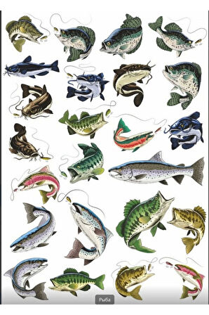 Balık ve Balıkçılık Sticker Set 3