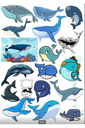 Balina Sticker Set 3