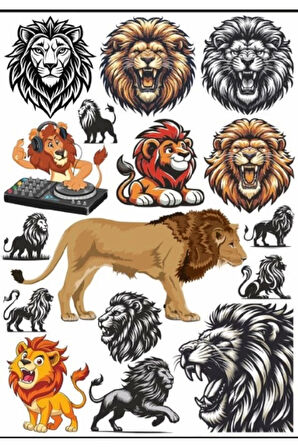 Kızgın Aslan Sticker Set 3