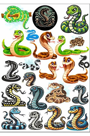 Yılan Snicker Set 2