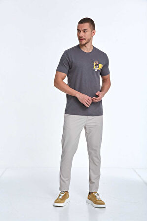 Enara Baskılı Erkek Tişört Antrasit