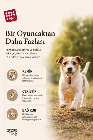 Eco Gum Gum Dog Serisi Doğal Kauçuk Fil Köpek Oyuncağı - Küçük Irk & Yavru - Çiğneme & At / Getir Oyuncağı