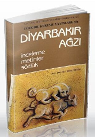 Diyarbakır Ağzı