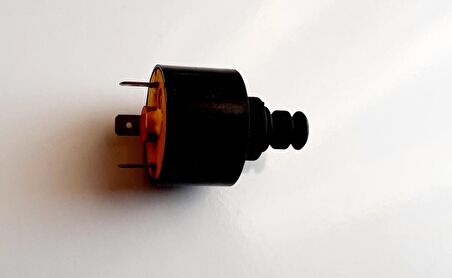 Ferroli Kombi Su Basınç Sondası , ECA , Ferroli Domicompact