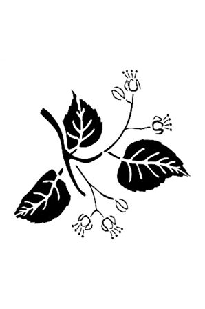 D250 15x20 D Serisi Stencil