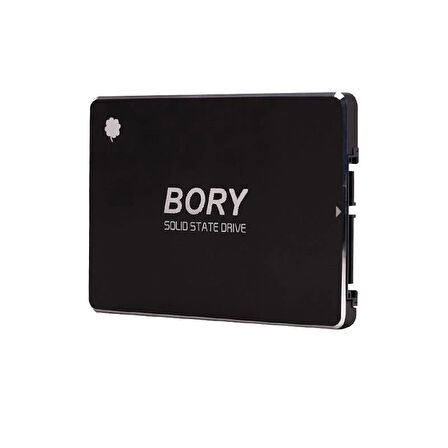 256 GB BORY SATA3 R500-C256G SSD 550/510 MBS (3 YIL GARANTİLİ)