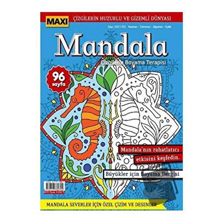 Maxi Mandala Çizgilerle Boyama Terapisi 4