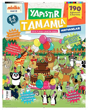 YAPIŞTIR TAMAMLA 6