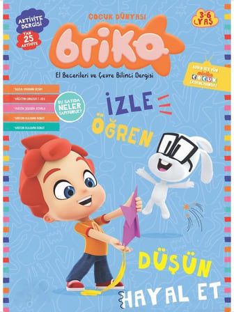 	BRIKO SAYI 15
