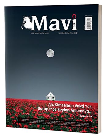 Mavi Gök Kültür Sanat Ve Edebiyat Dergisi Sayı & 6