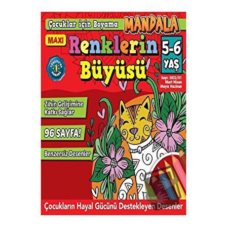 Maxi Mandala Renklerin Büyüsü 2