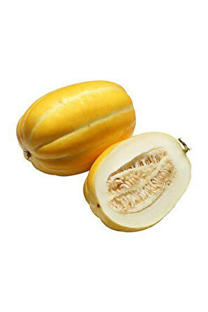 Nadir Kore Kavunu Tohumu Ekim Seti Kavun Tohumu 5 Tohum Saksı Toprak Kombin