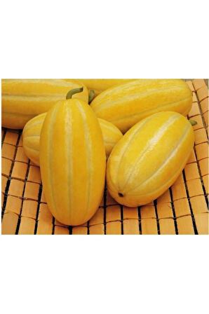 Nadir Kore Kavunu Tohumu Ekim Seti Kavun Tohumu 5 Tohum Saksı Toprak Kombin