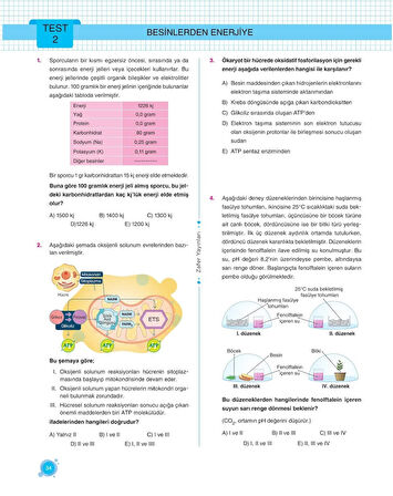 Zafer Yayınları 10. Sınıf BİYOLOJİ Soru Bankası Fasikül Seti - YENİ
