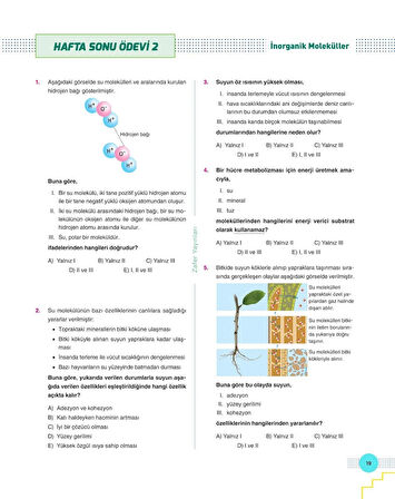 ZAFER YAYINLARI 9. SINIF BİYOLOJİ MODU FASİKÜL SETİ