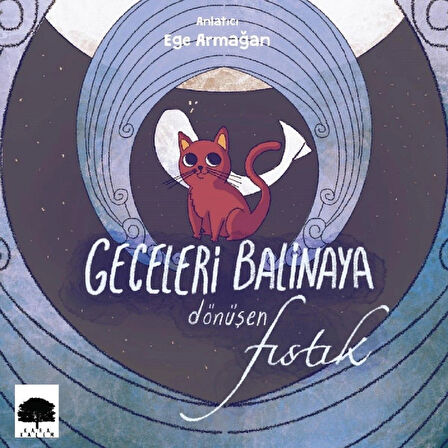 Geceleri Balinaya Dönüşen Fıstık