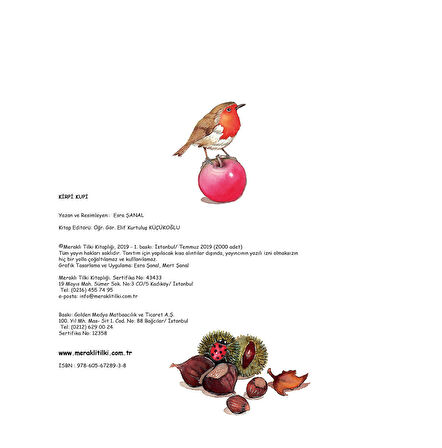 Kirpi Kupi - Resimli Çocuk Kitabı