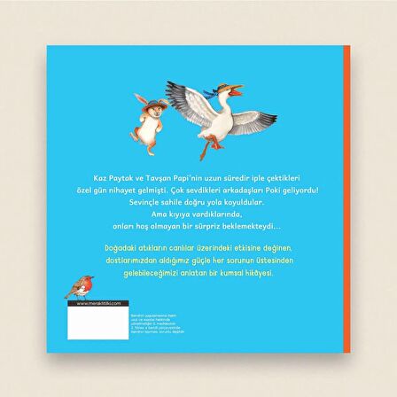 Sahilde Özel Bir Gün Resimli Hikâye Kitabı