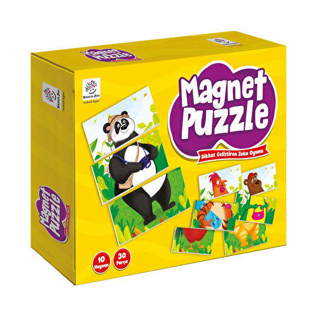 Mıknatıslı Magnet Puzzle