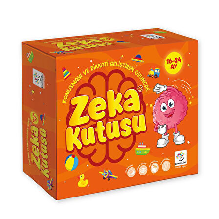 Zeka Kutusu 16-24 Ay