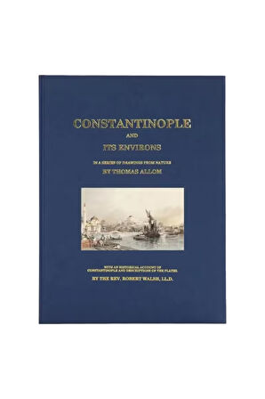 Constantinople And Its Environs