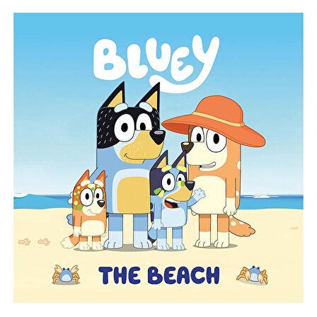 Ladybird Bluey - The Beach