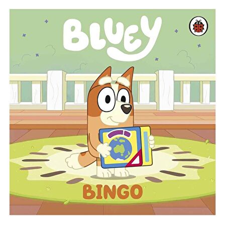 Ladybird Bluey - Bingo