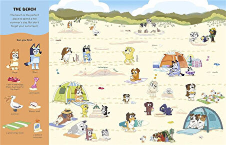 Ladybird Bluey - Wheres Bluey? Search and Find Book