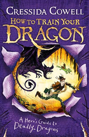 How to Train Your Dragon: A Hero's Guide to Deadly Dragons - Cressida Cowell