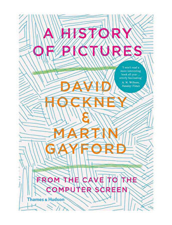 Thames & Hudson A History of Pictures From the Cave to the Computer Scree 9780500239490