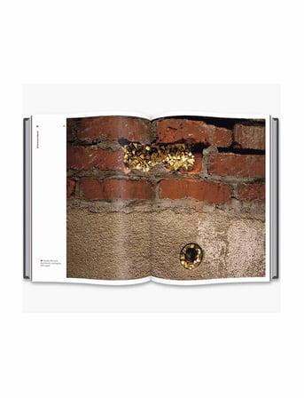 Thames and Hudson Street Craft 9780500517840