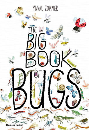 The Big Book of Bugs - The Big Book Series - Barbara Taylor