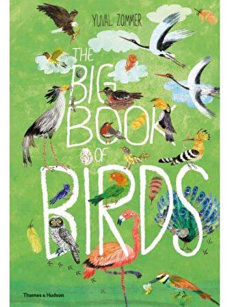 The Big Book of Birds - The Big Book Series - Barbara Taylor