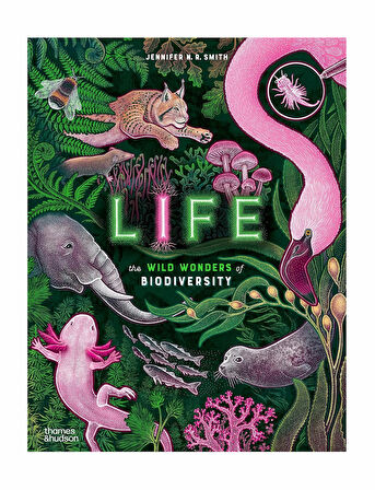 Thames and Hudson Life The wild wonders of biodiversity 9780500653357