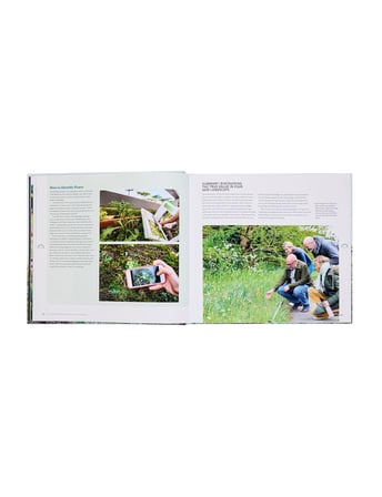 Rizzoli The Modern Professional Planting Designer 9780847846771