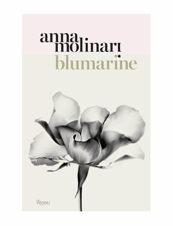 Rizzoli Blumarine Anna Molinari 9780847849581